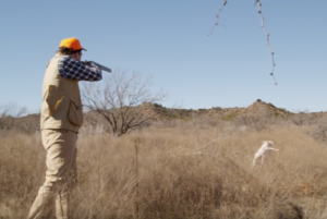 Texas bird hunting